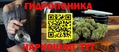 гашик Гусиноозёрск